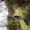 Bill-Ferny025