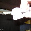 Bill-Ferny080