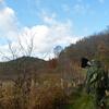 SAM_0250