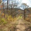 SAM_0251