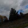 JB_RGFA14_060