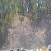 JB_RGFA14_076