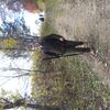 JB_RGFA14_120