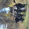 JB_RGFA14_132