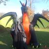 LORD OF NAZGUL (1)