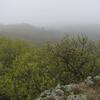 RG_Spring_2010 040