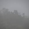 RG_Spring_2010 041