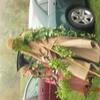 DSCN3105_0040