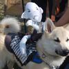 WARG2