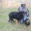 GOOD WARGS (1)