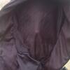 NAZGUL1 (2)