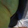 JB-RGSP18-40